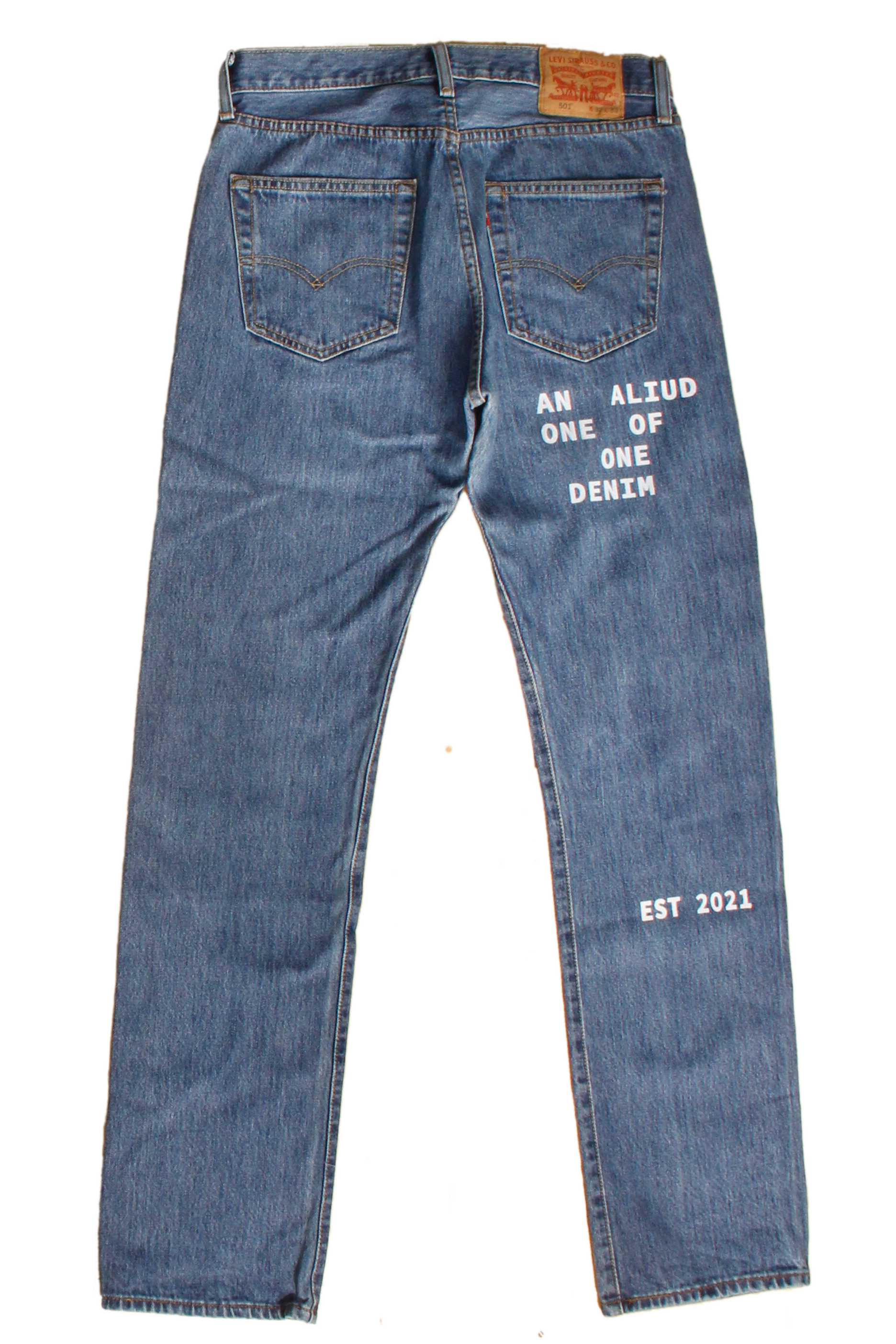 denim with print and embroidery W32L34