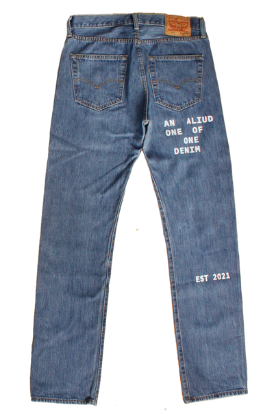 denim with print and embroidery W32L34