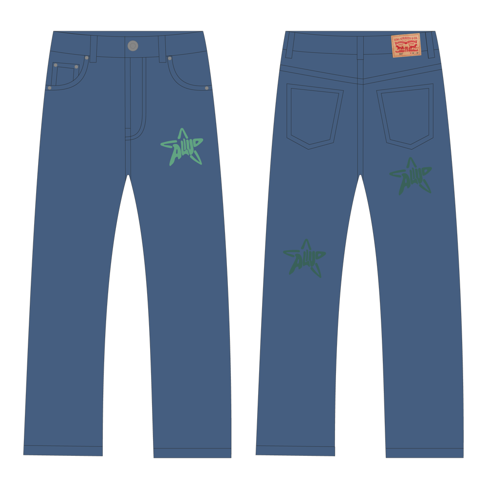 denim with star print W32 L34