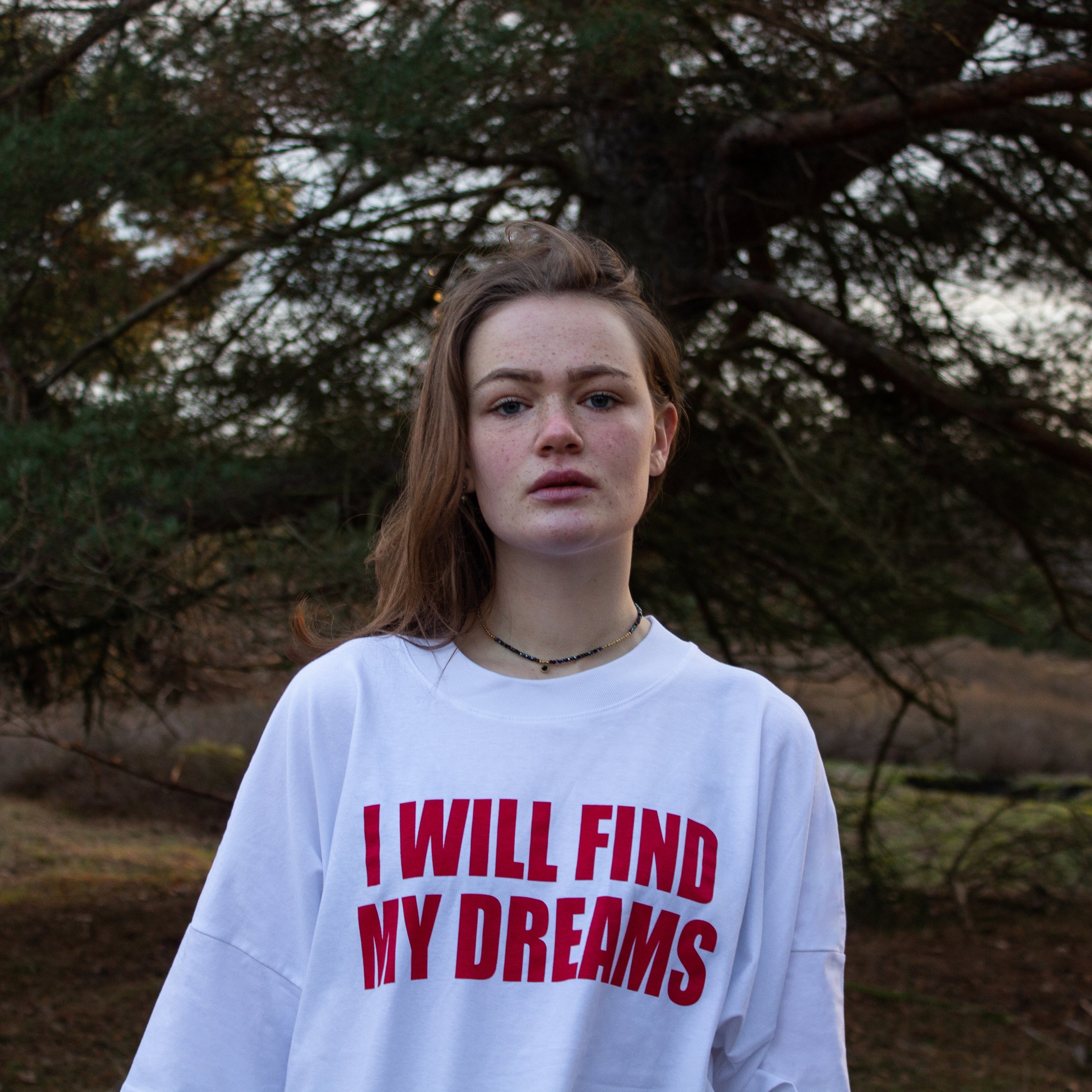 I Will Find My Dreams Shirt