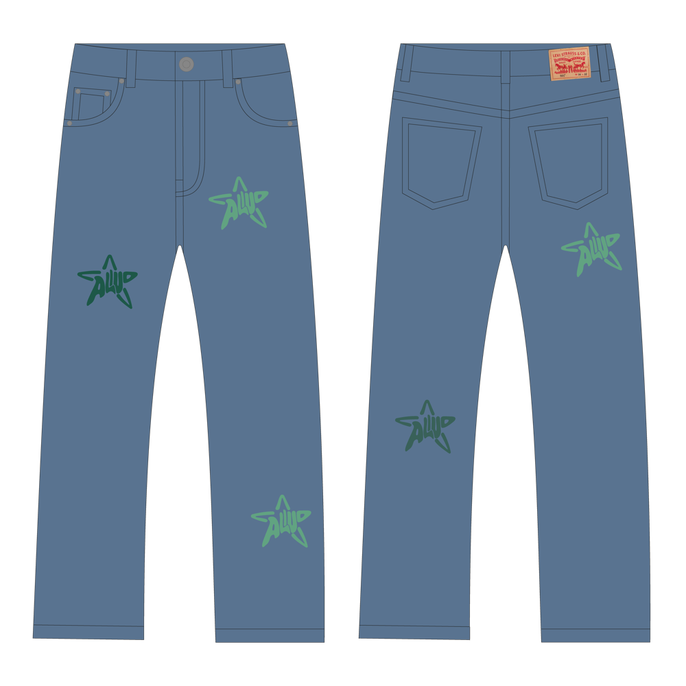 denim with star print W34L34