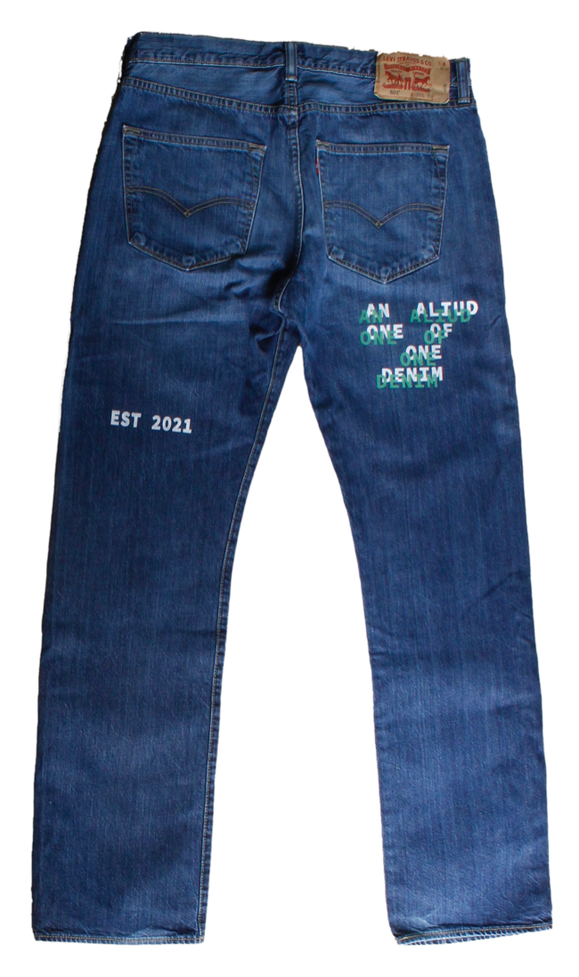 denim with print and embroidery W36L34