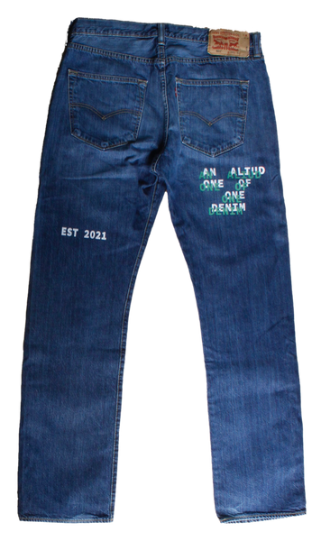 denim with print and embroidery W36L34