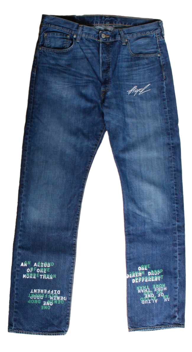 denim with print and embroidery W36L34