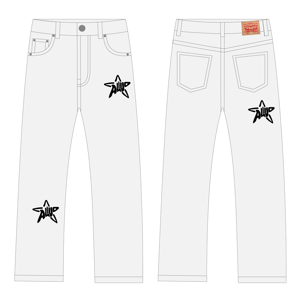 denim with star embroidery W31L32