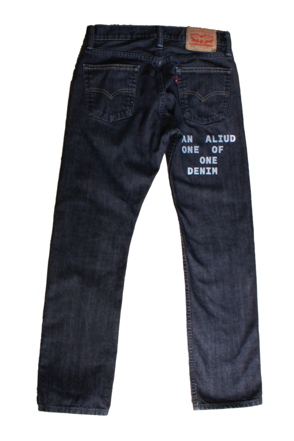 denim with print and embroidery W30L30