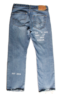 denim with print and embroidery W32L30