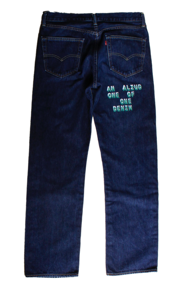 denim with print and embroidery W36L34