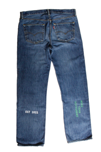 denim  with print and embroidery W36L34