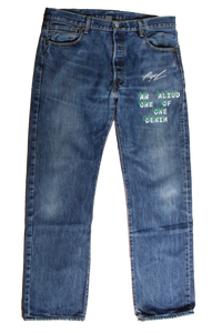 denim  with print and embroidery W36L34